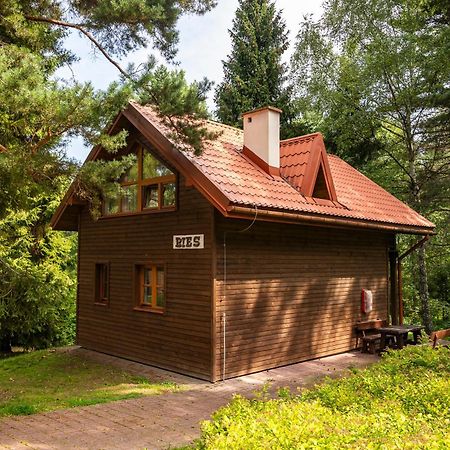 Hotel Perła Bieszczadów Geovita Czarna  Zewnętrze zdjęcie